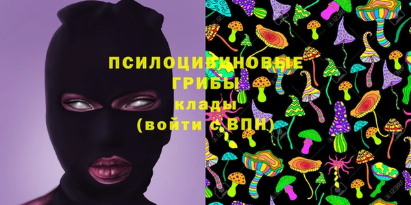 СК Белокуриха